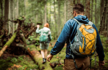 istockphoto-1167969374-612x612